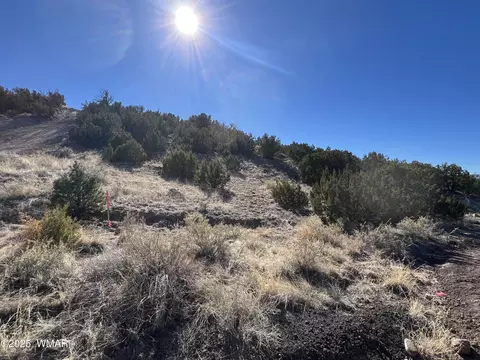 lot14 Starlite Dr, Eagar, AZ 85925