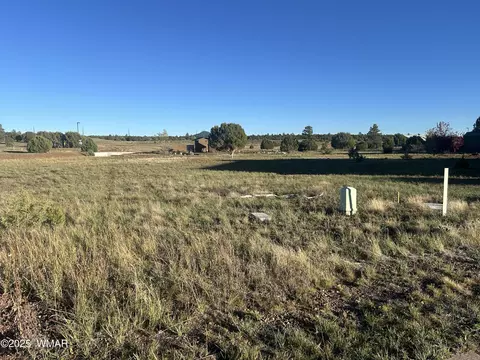 1041 S Lorenzo Sitgreaves Dr, Show Low, AZ 85901