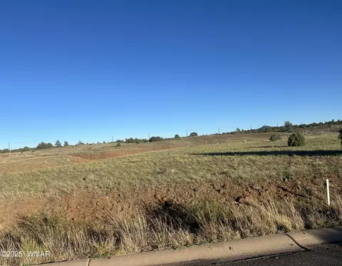 1081 S Ridgeway Pl, Show Low, AZ 85901