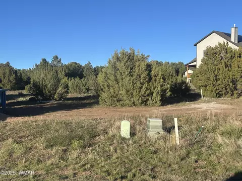 521 S Rockcreek Dr, Show Low, AZ 85901