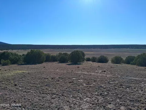 22 N 8171, Concho, AZ 85924