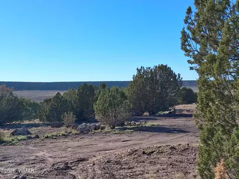 68 N 8171, Concho, AZ 85924
