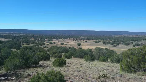 41 Indian Dr, Concho, AZ 85924