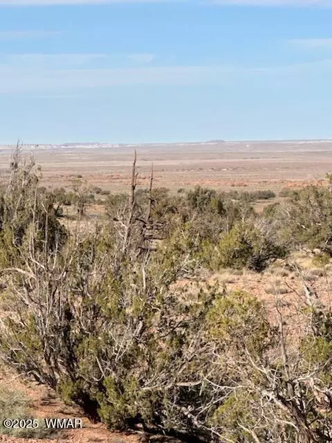9912 Uttecht Trl, Snowflake, AZ 85937 photo 5