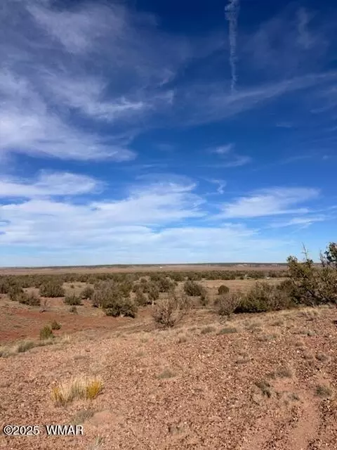 9912 Uttecht Trl, Snowflake, AZ 85937