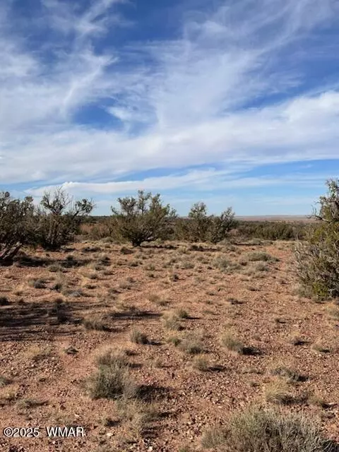 9912 Uttecht Trl, Snowflake, AZ 85937 photo 4
