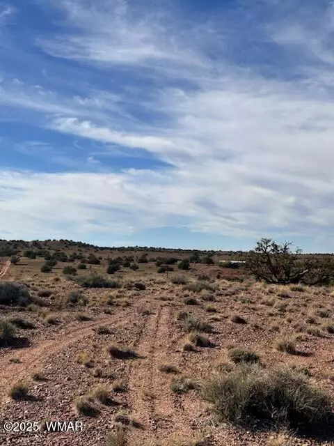 9912 Uttecht Trl, Snowflake, AZ 85937 photo 3