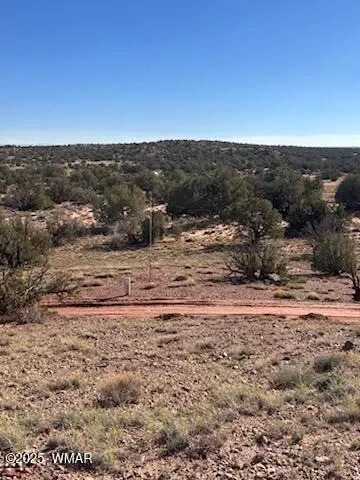 9912 Uttecht Trl, Snowflake, AZ 85937 photo 2