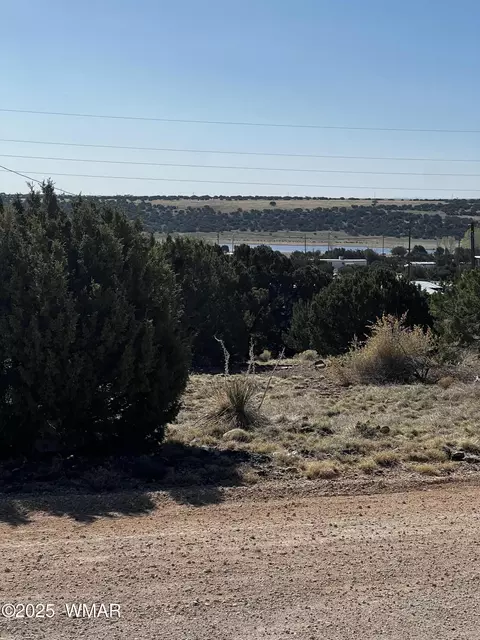 60 Short Ln, Concho, AZ 85924