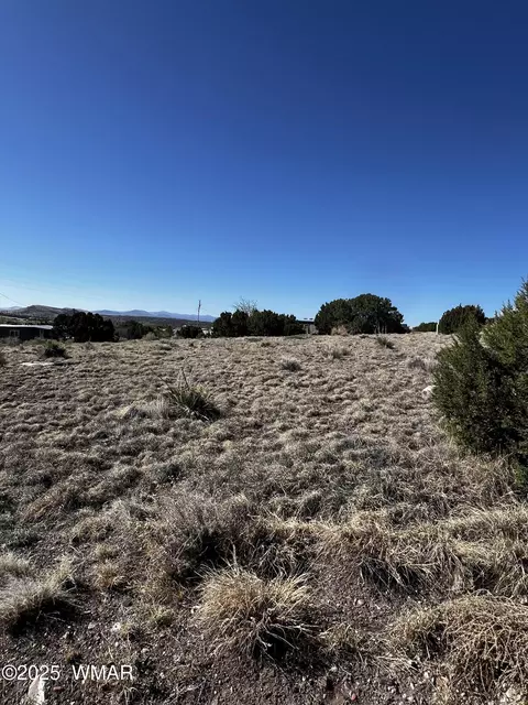 58 Short Ln, Concho, AZ 85924