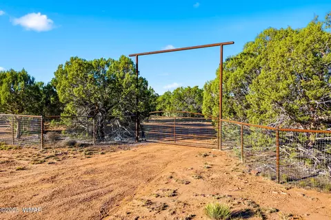 1170 Sapphire Ln, Show Low, AZ 85901