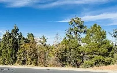 1610 W Snow Creek Trl, Show Low, AZ 85901
