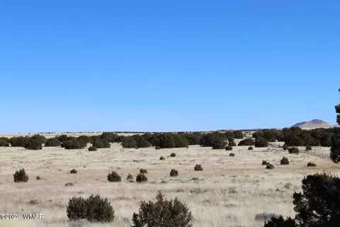 13 County Road 8006, Concho, AZ 85924