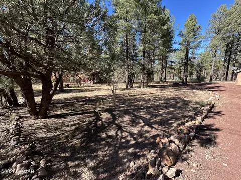 2822 Gold Dust Trl, Show Low, AZ 85901
