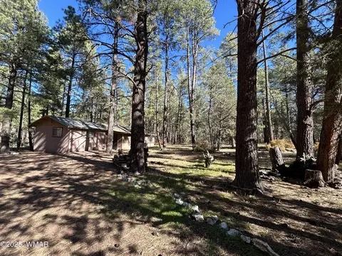 2842 Gold Dust Trl, Show Low, AZ 85901