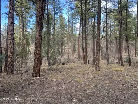 4041 S Gold Dust Trl, Show Low, AZ 85901