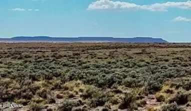 tbd Co Rd N7012 40 Acres, Chambers, AZ 86502