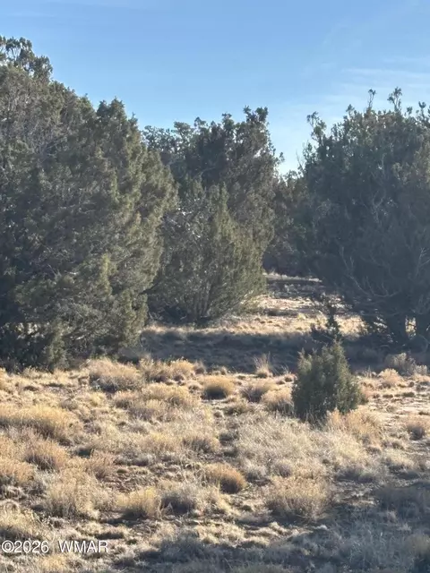337 N8269, Concho, AZ 85924