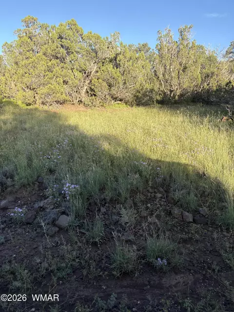 337 N8269, Concho, AZ 85924