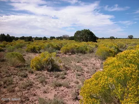 0 Bar Nothing Ranch Rd #409, Chambers, AZ 86502