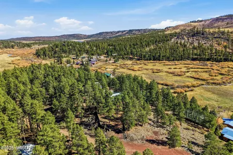 4 N1013, Greer, AZ 85927 photo 43