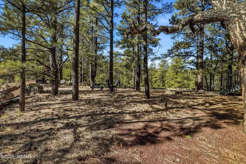 4 N1013, Greer, AZ 85927 photo 49