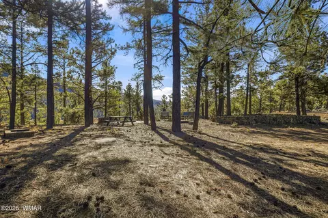 4 N1013, Greer, AZ 85927 photo 50