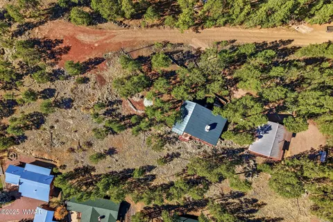 4 N1013, Greer, AZ 85927 photo 41
