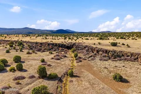 00 Tbd, Greer, AZ 85927 photo 9