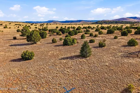 00 Tbd, Greer, AZ 85927 photo 13