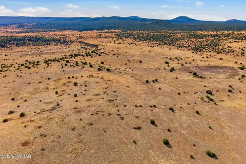 00 Tbd, Greer, AZ 85927 photo 16