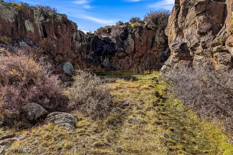 00 Tbd, Greer, AZ 85927 photo 3