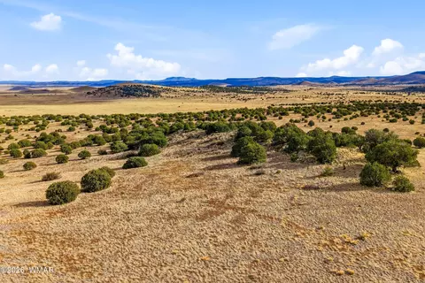 00 Tbd, Greer, AZ 85927 photo 20