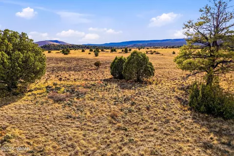 00 Tbd, Greer, AZ 85927 photo 15