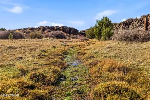 00 Tbd, Greer, AZ 85927