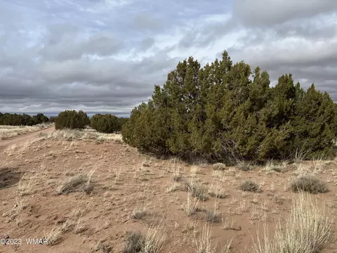 4053 S Pinto Rd, Snowflake, AZ 85937 photo 2