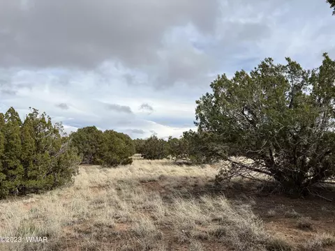 4053 S Pinto Rd, Snowflake, AZ 85937 photo 10