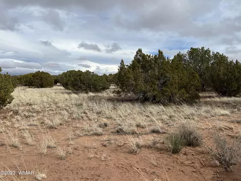 4053 S Pinto Rd, Snowflake, AZ 85937 photo 7