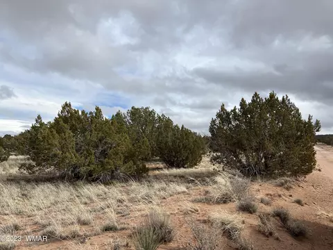 4053 S Pinto Rd, Snowflake, AZ 85937 photo 8