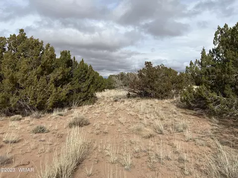 4053 S Pinto Rd, Snowflake, AZ 85937 photo 3