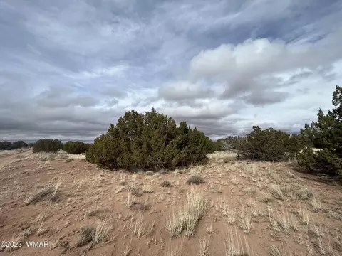 4053 S Pinto Rd, Snowflake, AZ 85937 photo 4
