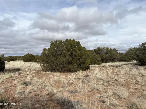 4053 S Pinto Rd, Snowflake, AZ 85937 photo 6