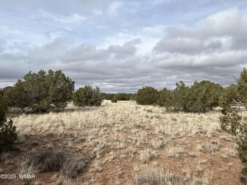 4053 S Pinto Rd, Snowflake, AZ 85937