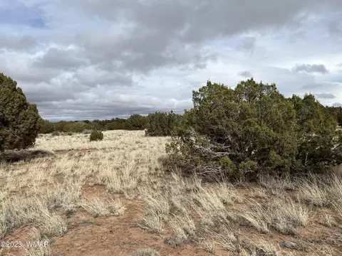 4053 S Pinto Rd, Snowflake, AZ 85937 photo 9