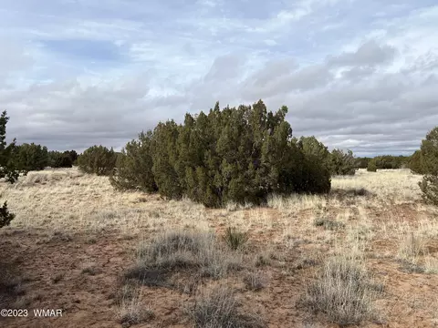 4053 S Pinto Rd, Snowflake, AZ 85937 photo 5