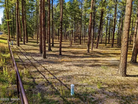 25319 Us Hwy 191, Alpine, AZ 85920