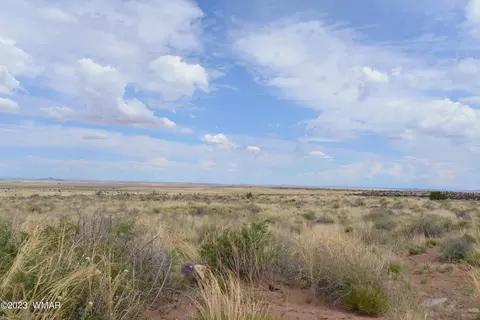 8181 Uttecht Trl, Snowflake, AZ 85937