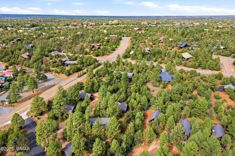 View/Area - 2755 Fox Trl, Overgaard, AZ 85933 photo 2 of 2