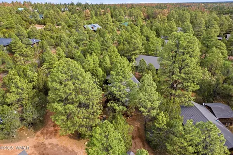 View/Area - 2755 Fox Trl, Overgaard, AZ 85933 photo 1 of 2