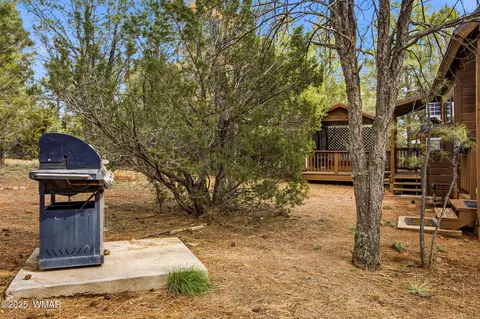 Exterior - 2755 Fox Trl, Overgaard, AZ 85933 photo 9 of 10